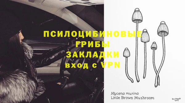 дмт Белокуриха