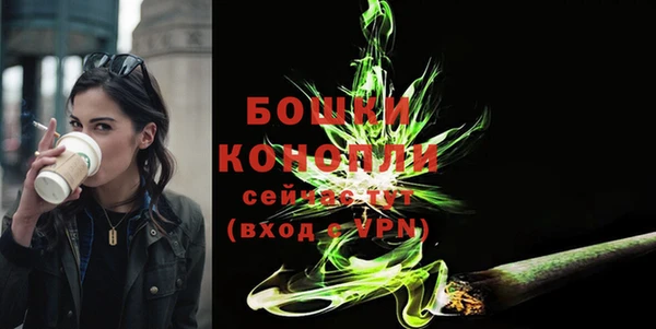 дмт Белокуриха