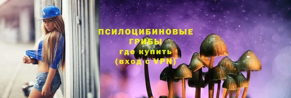 прущая мука Богданович
