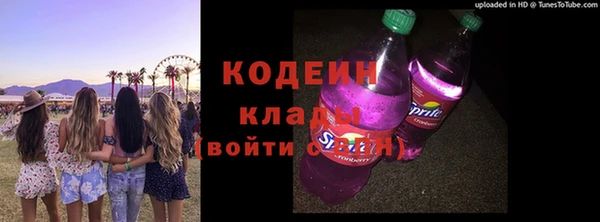прущие грибы Беломорск