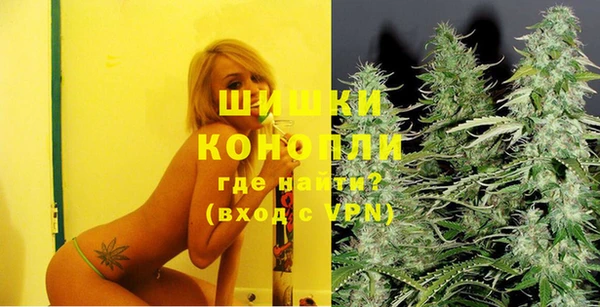 прущие грибы Беломорск