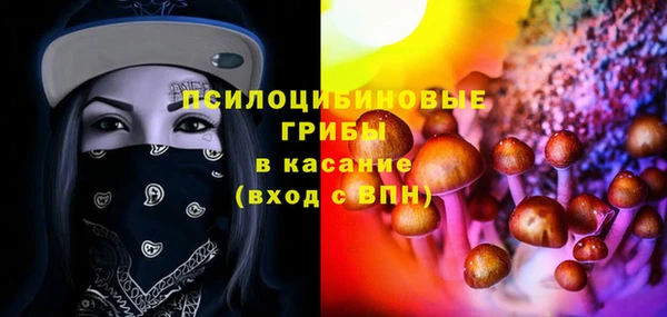 прущие грибы Беломорск