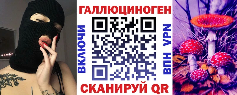 Псилоцибиновые грибы Cubensis  Купить закладки  Бобров 